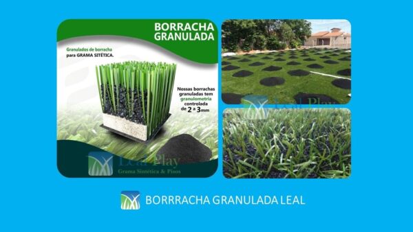 3 - Borracha