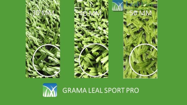 6 – Pro 6 - Pro